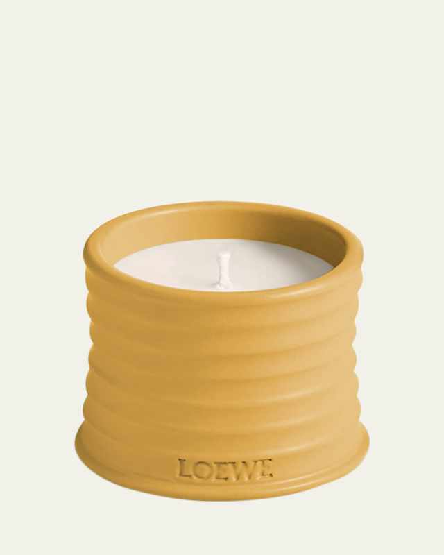 Wasabi Scented Candle, 170g